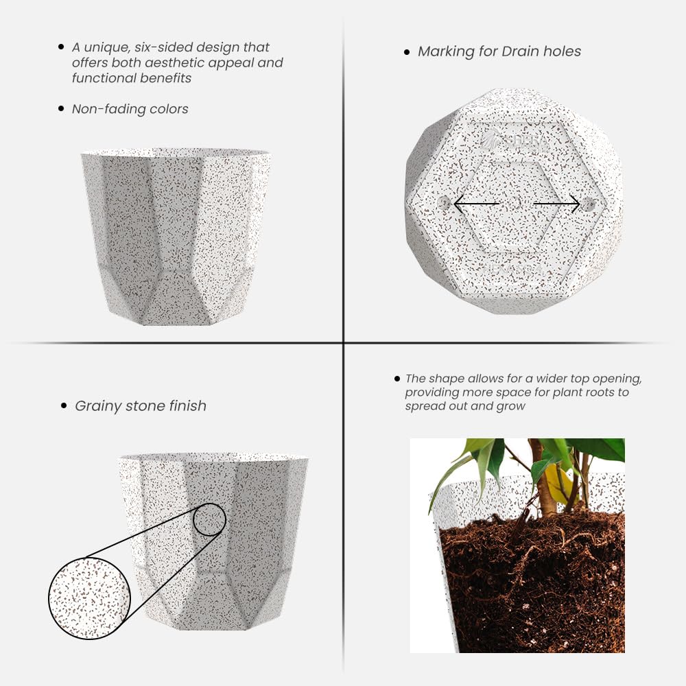 YUCCABE ITALIA SHERA Hexa Plastic Planter Pot for Plants